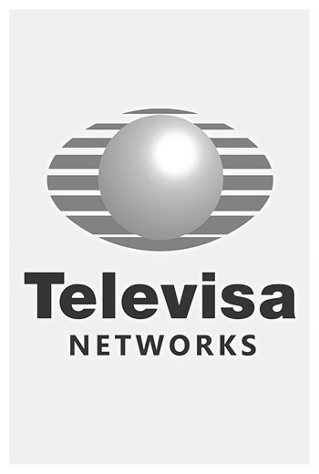 Cliente: Televisa.  Marca: Televisa Networks.  Monitoreo de campa�as de gobierno. portafolio central de medios publicitarios mediacorp méxico